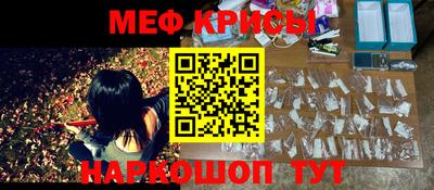 молекула духа Камышлов