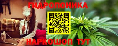 молекула духа Камышлов