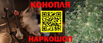 молекула духа Камышлов